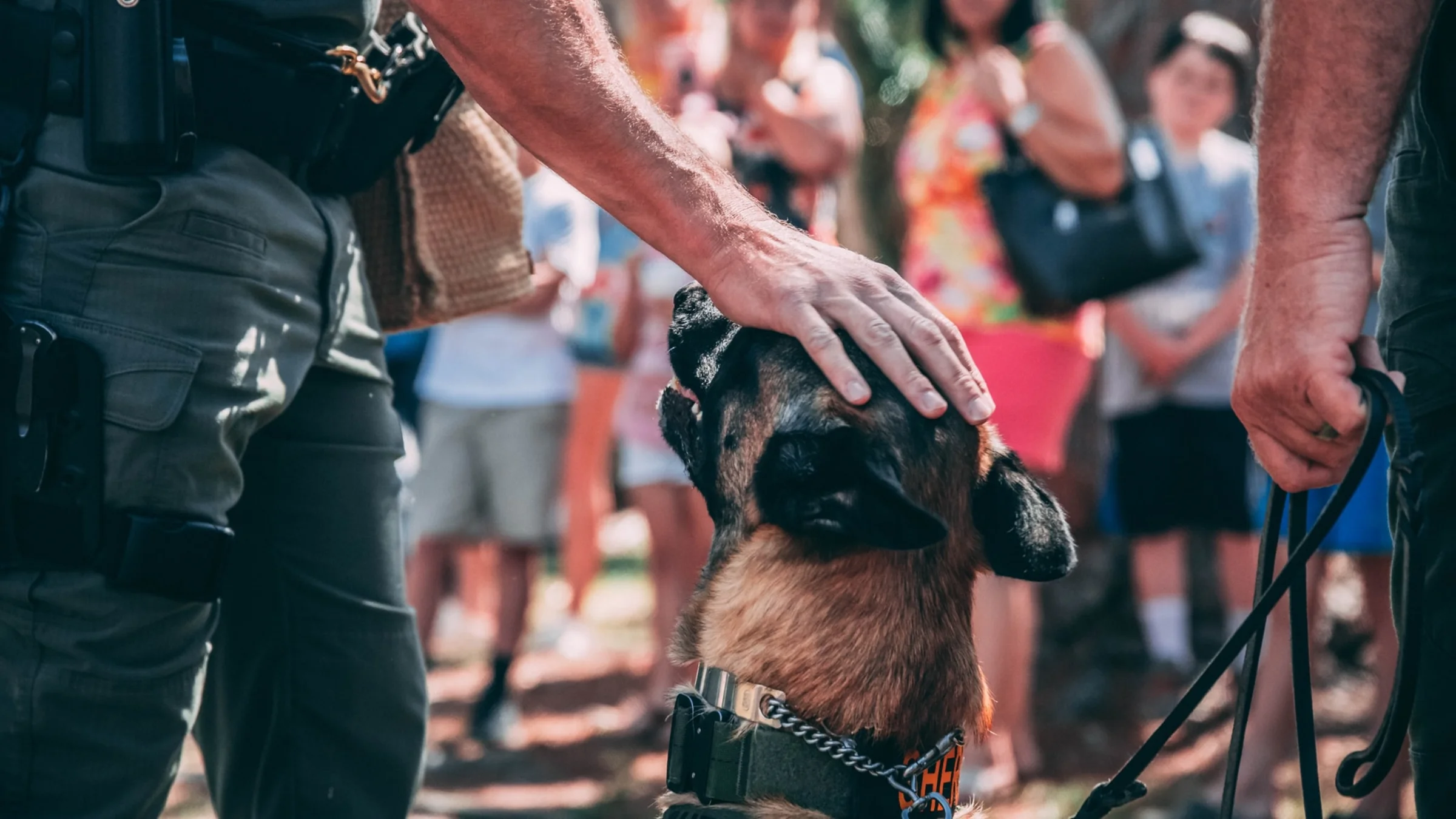 dog handlers