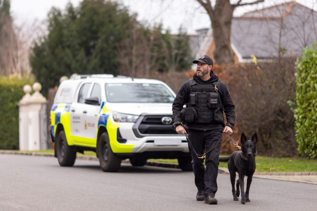 dog patrols